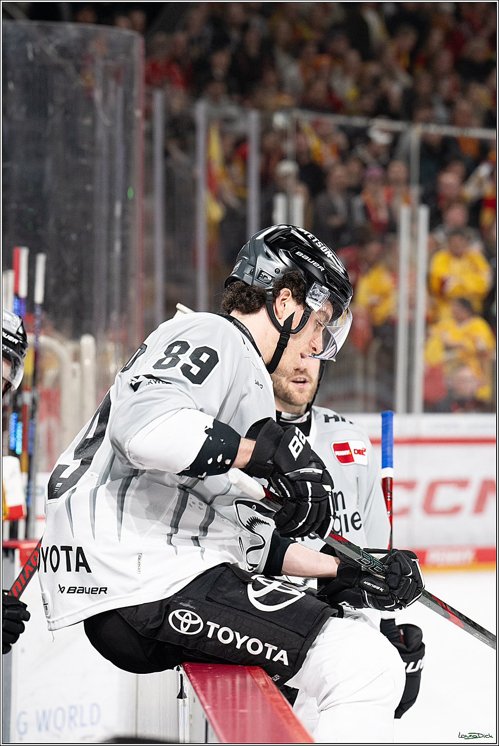 PENNY DEL; Duesseldorfer EG- Koelner Haie; Duesseldorf, 24.01.2025